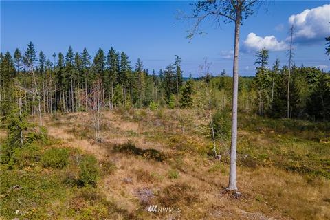 372 Guiles Rd, Sequim, WA 98382 photo 7