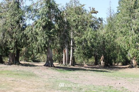 21918 128th Ave E, Graham, WA 98338 photo 17
