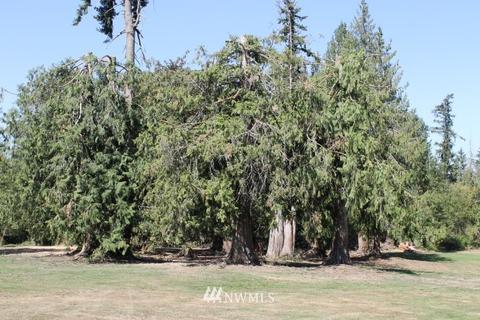 21918 128th Ave E, Graham, WA 98338 photo 16