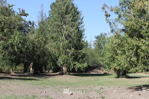 21918 128th Ave E, Graham, WA 98338 photo 18