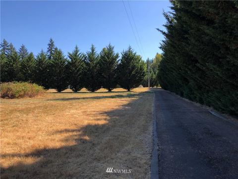29417 26th Ave E, Roy, WA 98580 photo 32
