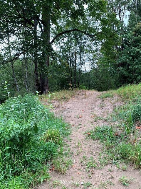 261 Tryon Rd, Onalaska, WA 98570 photo 11