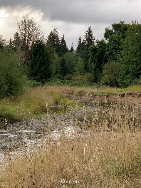 261 Tryon Rd, Onalaska, WA 98570 photo 12