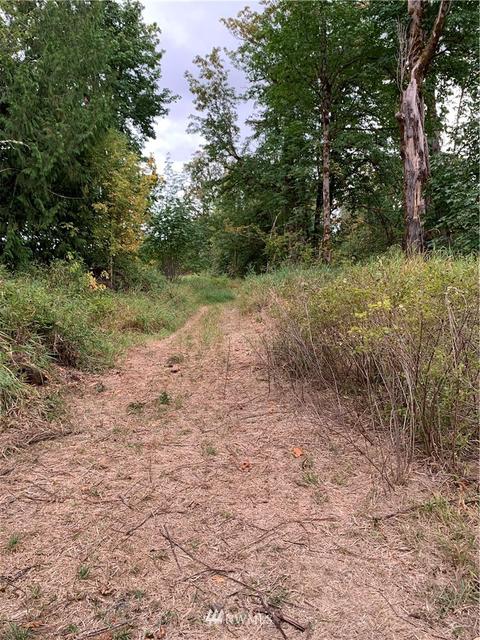 261 Tryon Rd, Onalaska, WA 98570 photo 10