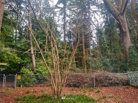 4331 Forest Dr, Everett, WA 98203 photo 3