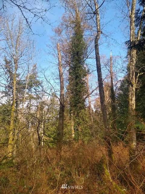 4331 Forest Dr, Everett, WA 98203 photo 7