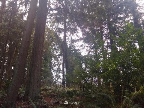 4331 Forest Dr, Everett, WA 98203 photo 5