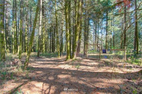 595 Nevil Rd, Winlock, WA 98596 photo 26