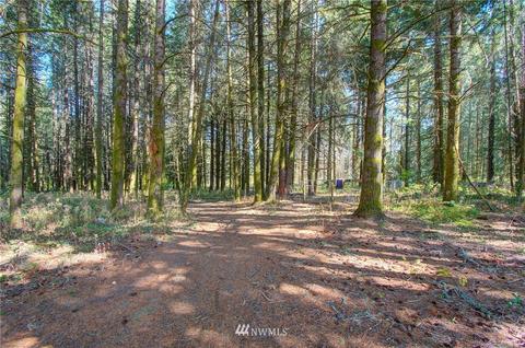 595 Nevil Rd, Winlock, WA 98596 photo 28