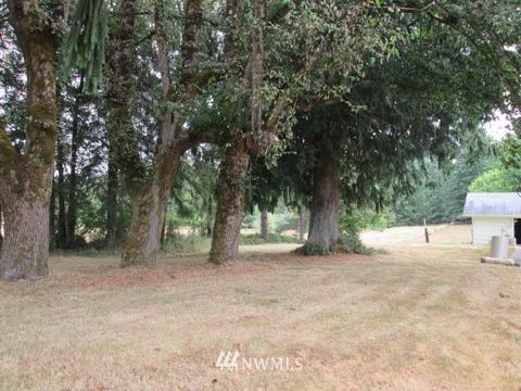 133 Gunnell Rd, Winlock, WA 98596 photo 15