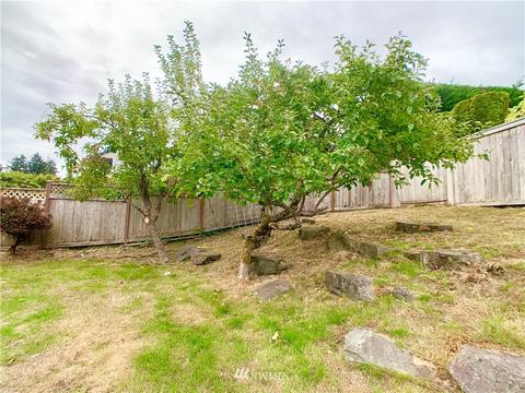40 Chapman Loop, Steilacoom, WA 98388 photo 36