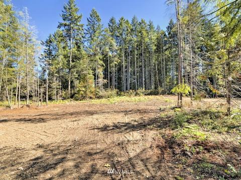 421 E Cedar St, Belfair, WA 98528 photo 30
