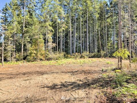 421 E Cedar St, Belfair, WA 98528 photo 29