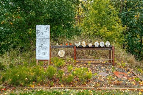 953 Winlock Vader Rd, Winlock, WA 98596 photo 29