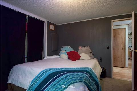 411 Spencer Rd, Sequim, WA 98382 photo 29