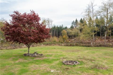 219 Limmer Rd, Winlock, WA 98596 photo 37