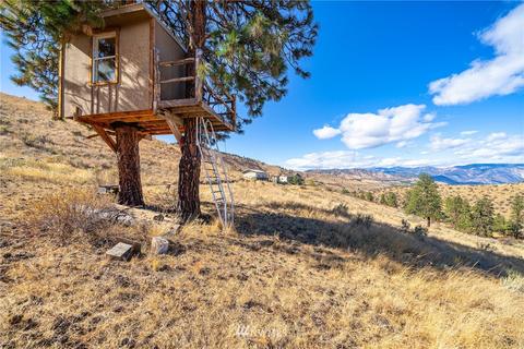 100 Pheasant Spring Rd, Chelan, WA 98816 photo 27