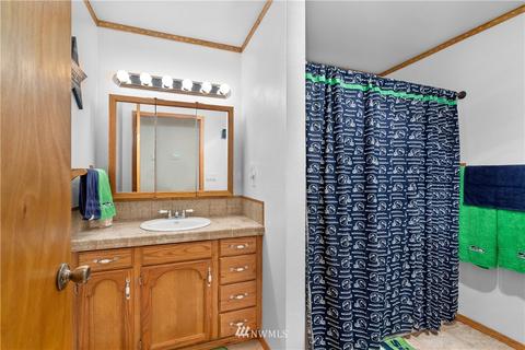 246 E View St, Napavine, WA 98532 photo 17