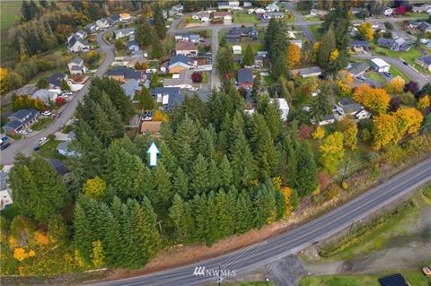 246 E View St, Napavine, WA 98532 photo 28