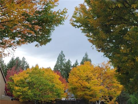 15722 36th Ave SE, Bothell, WA 98012 photo 23