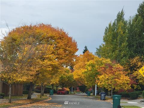 15722 36th Ave SE, Bothell, WA 98012 photo 21