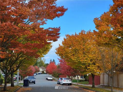 15722 36th Ave SE, Bothell, WA 98012 photo 20