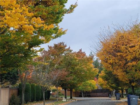 15722 36th Ave SE, Bothell, WA 98012 photo 22