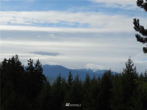 12 Sundial Loop, Sequim, WA 98382 photo 36