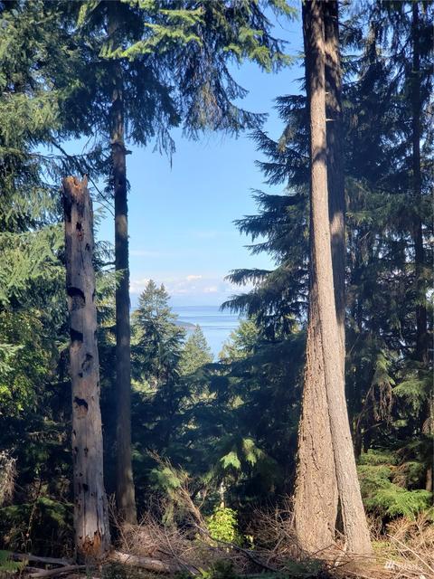 815 Twin Lakes Dr, Orcas Island, WA 98245