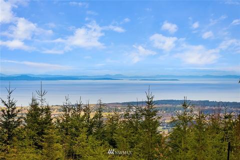 555 Graywolf Ridge Rd, Sequim, WA 98382 photo 27