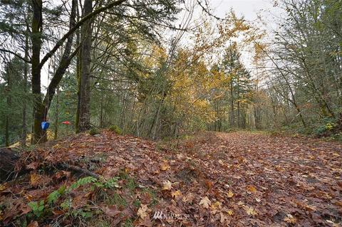 2714 366th Ct E, Roy, WA 98580 photo 22