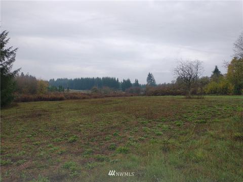 213 Nelson Rd, Winlock, WA 98596 photo 1