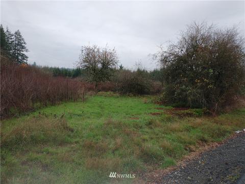 213 Nelson Rd, Winlock, WA 98596 photo 2