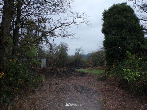 213 Nelson Rd, Winlock, WA 98596 photo 5