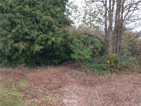 213 Nelson Rd, Winlock, WA 98596 photo 4