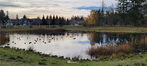 1642 178 Street Ct E, Spanaway, WA 98387 photo 21