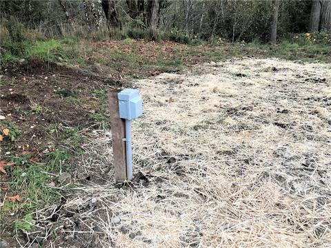 383 E Orchid Ln, Grapeview, WA 98546 photo 4