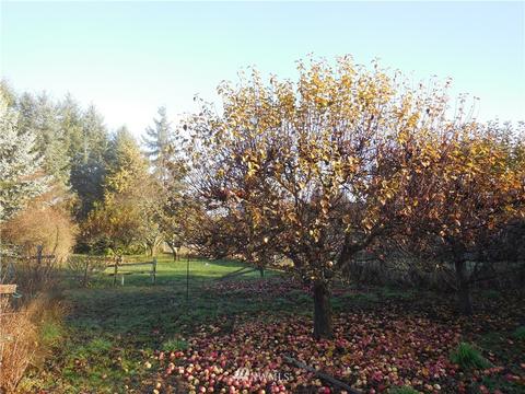 80 Grandview Ln, Sequim, WA 98382 photo 26