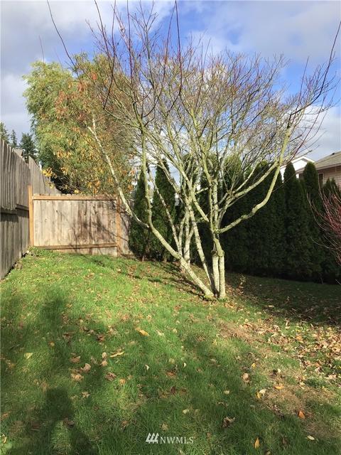9904 28th Dr SE, Everett, WA 98208 photo 3