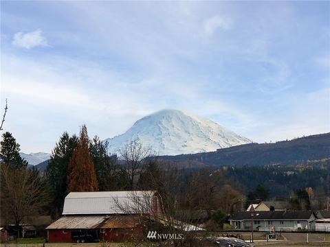 206 Kansas St SW, Orting, WA 98360 photo 28