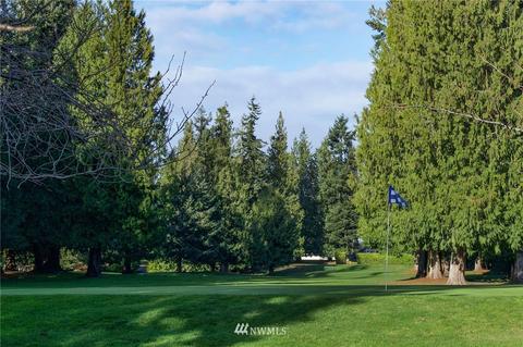 213 Sunset Pl, Sequim, WA 98382 photo 40