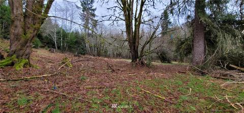 429 E Rivendell Rd, Grapeview, WA 98546 photo 34
