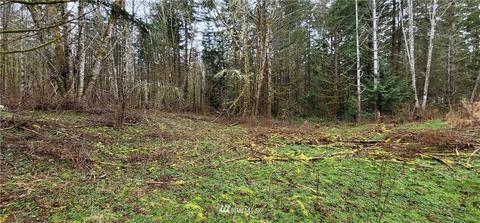 429 E Rivendell Rd, Grapeview, WA 98546 photo 32