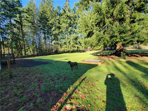143 Wilson Rd, Winlock, WA 98596 photo 22