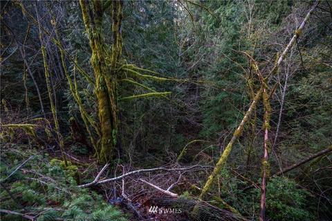 311 E Mclane Cove Dr, Grapeview, WA 98546 photo 30
