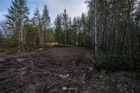 311 E Mclane Cove Dr, Grapeview, WA 98546 photo 29