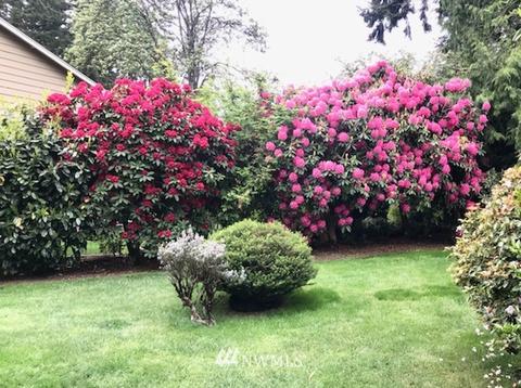 910 NE 178th Pl, Shoreline, WA 98155 photo 36
