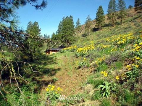 712 Twisp River Rd, Twisp, WA 98856 photo 37