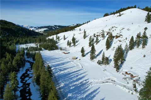 712 Twisp River Rd, Twisp, WA 98856 photo 24