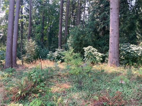 19722 Filbert Dr, Bothell, WA 98012 photo 3